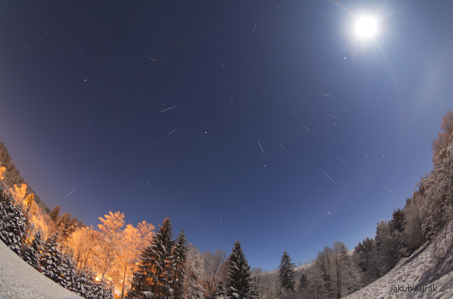 Karlı Bir Orman Üzerinde Geminid Meteorları | Uzaydan Haberler